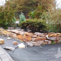 Galeria &raquo; Skalniaki